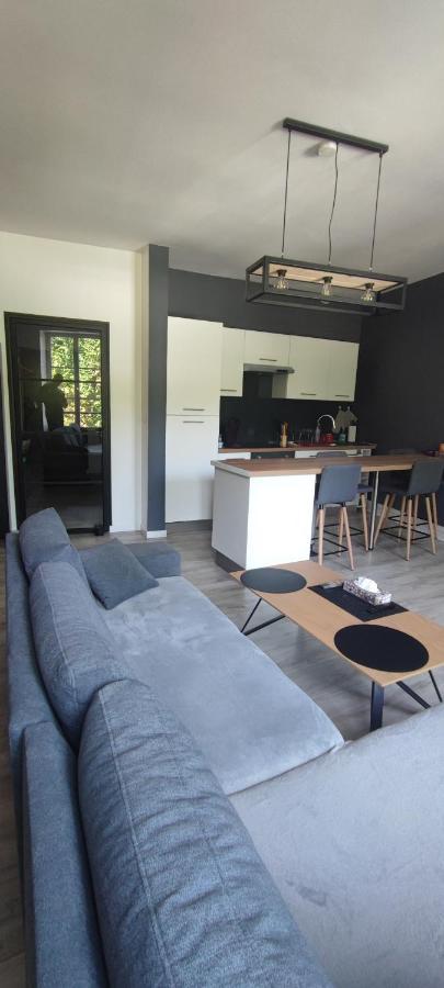 Appartement D'Hippolyte - Vue Musee Rimbaud Charleville-Mézières Exteriör bild
